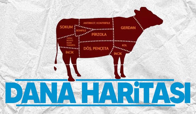 Dana haritası: Kurban etinin bölgelere göre kullanım rehberi