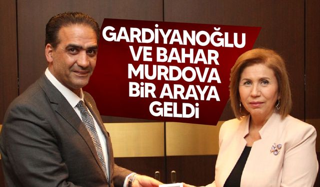 Gardiyanoğlu, Azerbaycan Aile, Kadın ve Çocuk İşleri Devlet Komitesi Başkanı ile görüştü