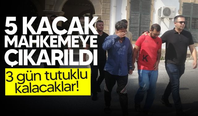 Kaçaklar mahkemeye çıkarıldı!