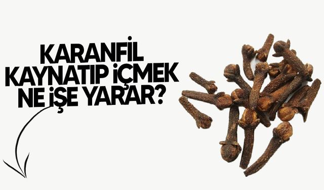 Karanfil hangi hastalıklara iyi gelir?