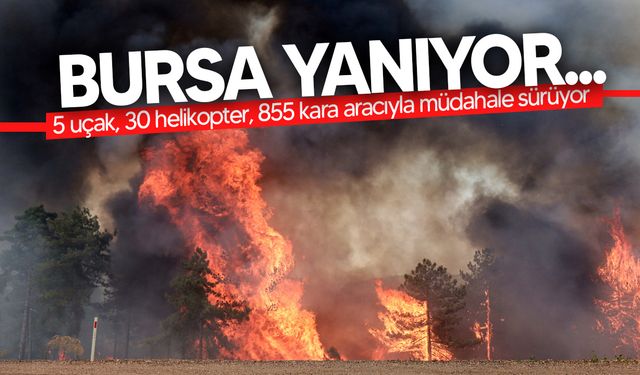 Bursa’da orman yangını... Ekiplerin müdahalesi sürüyor