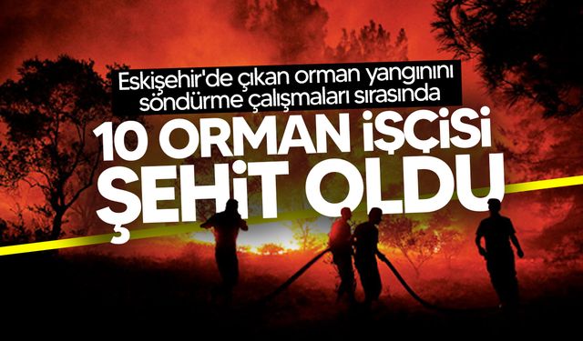 Eskişehir'de 10 orman işçisi şehit oldu