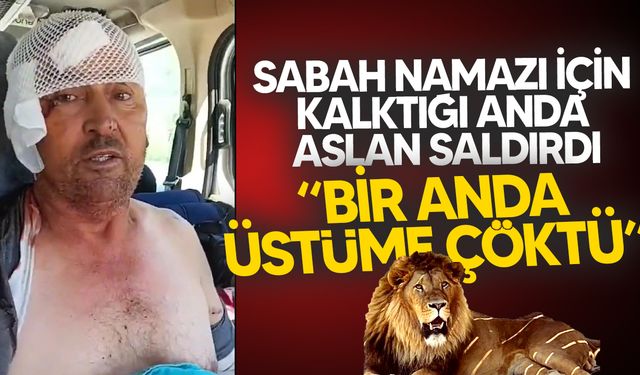 Manavgat’ta Firari Aslanla Boğuşan Adam O Anları Anlattı: “Bir Anda Üstüme Çöktü”
