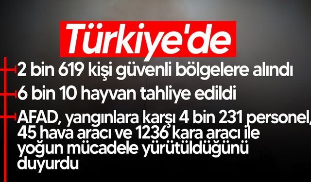 Türkiye’de Orman Yangınları: 2 Bin 619 Kişi Tahliye Edildi