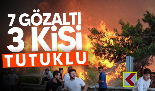 Türkiye'de Orman Yangınlarıyla İlgili 3 Kişi Tutuklandı