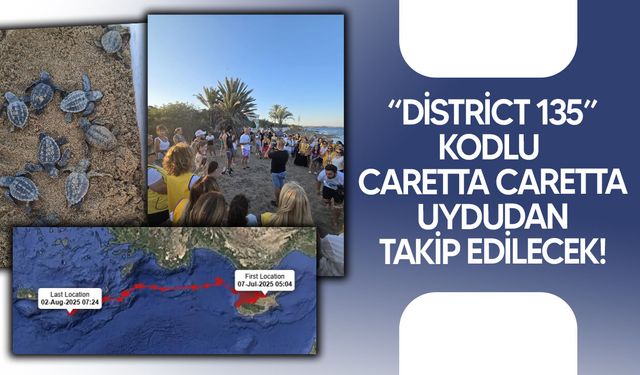 Caretta Caretta'lar Kuzey Kıbrıs’tan Akdeniz’e!