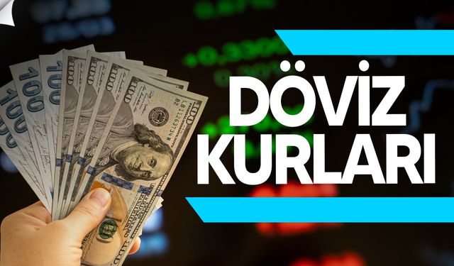 Dövizde son durum