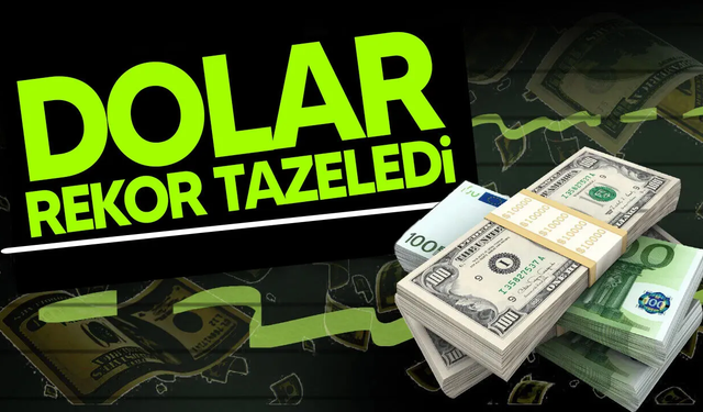 Dolar rekor tazeledi: Kur 41,83 TL’yi gördü