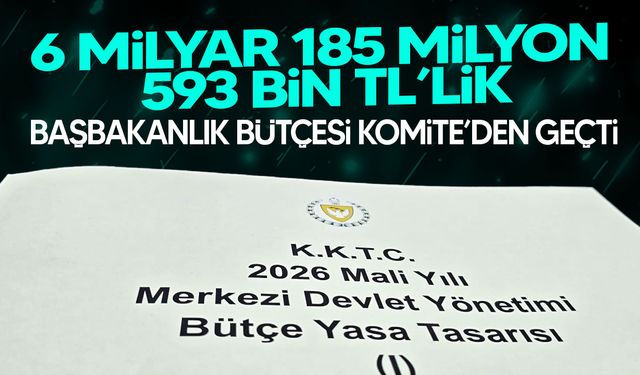 6 milyar 185 milyon 593 bin TL’lik Başbakanlık bütçesi Komite’den geçti