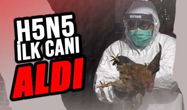 ABD’de H5N5 kuş Gribi Nedeniyle İlk İnsan Ölümü