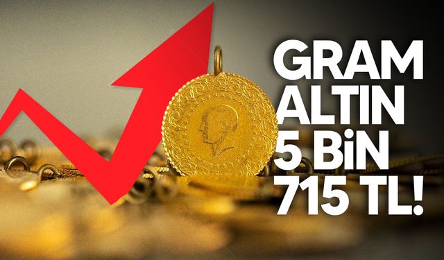 ABD'de hükümet açılınca altın da yükselişini hızlandırdı