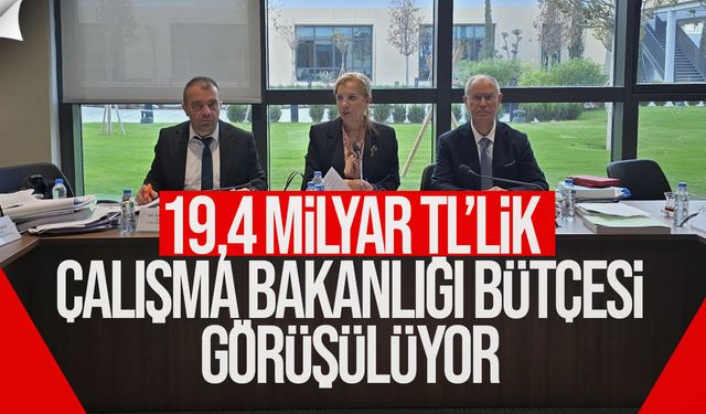Çalışma ve Sosyal Güvenlik Bakanlığı Bütçesi 19,4 Milyar TL Olarak Görüşülüyor