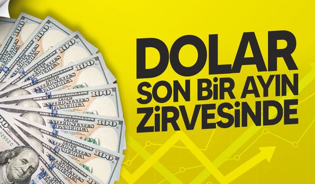 Dolar Son Bir Ayın Zirvesinde: 42,36 TL ile Yeni Rekor