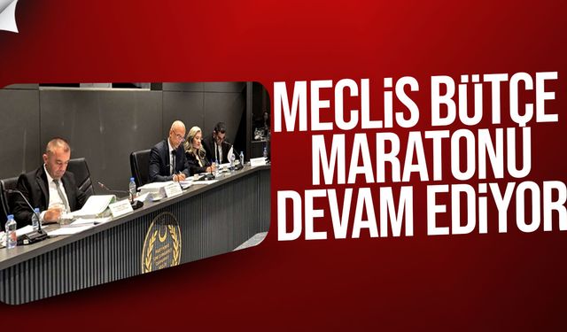 Komite’de kritik bütçe günü: Başsavcılık onaylandı, Sayıştay görüşülüyor