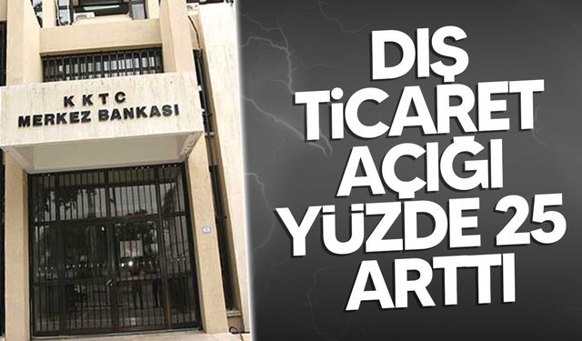 2024 Ödemeler Dengesi Açıklandı