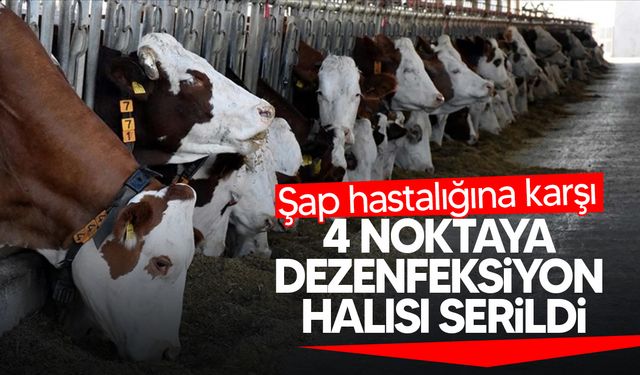 Değirmenlik Akıncılar Belediyesi’nden Şap Hastalığına Karşı Dezenfeksiyon Önlemleri