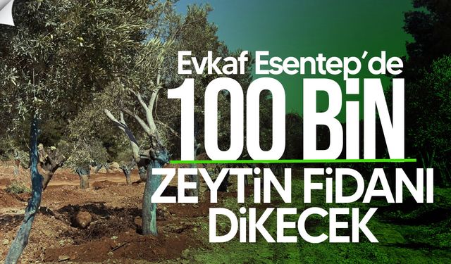 Evkaf’tan 100 Bin Zeytin Fidanı Projesi: Esentepe’de Dikim Töreni