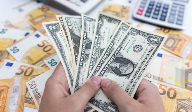 Döviz kurları yükseldi