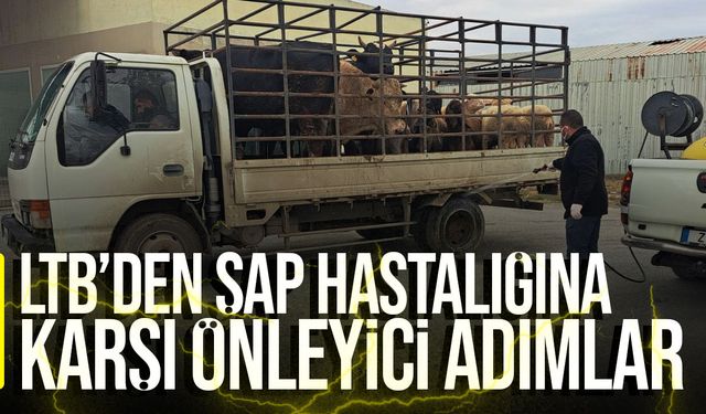 LTB, Şap Hastalığına Karşı Önleyici Tedbirleri Hayata Geçirdi