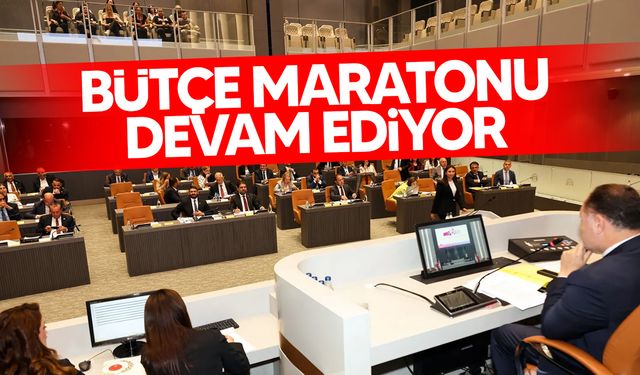 Bütçe maratonu devam ediyor