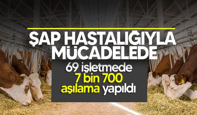 Şap hastalığıyla mücadele devam ediyor!