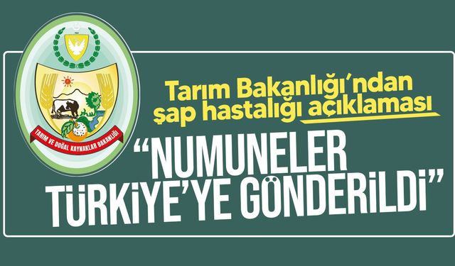 Tarım Bakanlığı’ndan şap hastalığı açıklaması
