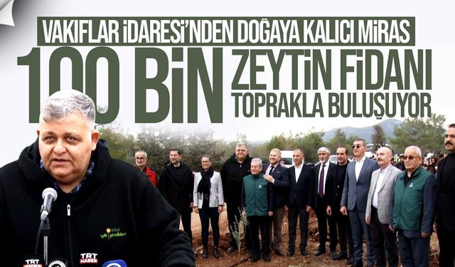 Vakıflar İdaresi’nden 100 Bin Zeytin Fidanı Projesi: İlk Fidanlar Toprakla Buluştu