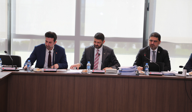 Meclis Komitesi BRTK ve Bütçe Dairesi Yasalarını Görüştü