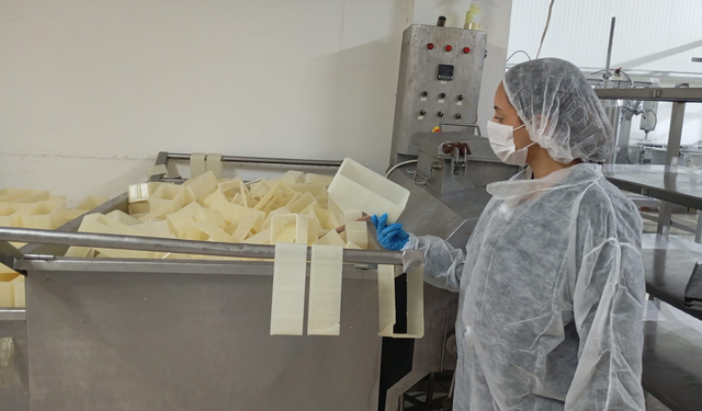 Değirmenlik-Akıncılar’da sağlık denetimi