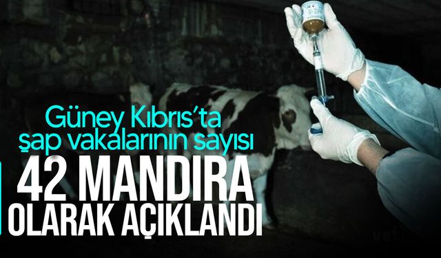 Rum Veteriner Dairesi şap vakalarının sayısını 42 mandıra olarak açıkladı