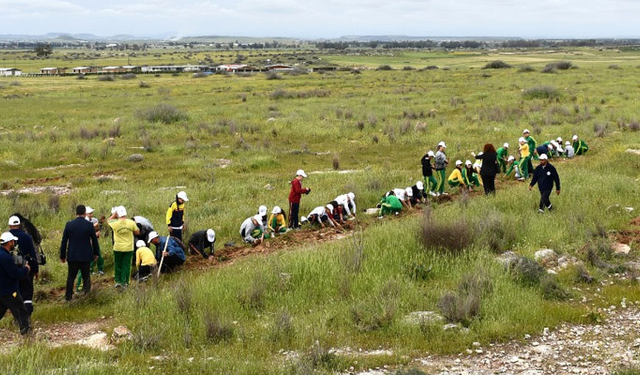 Mesarya’da Yeniden Yeşil Kıbrıs kapsamında 1000 fidan dikildi