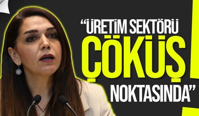 Kürşat: "Üretim Sektörü Sürdürülebilirliğini Kaybetti"