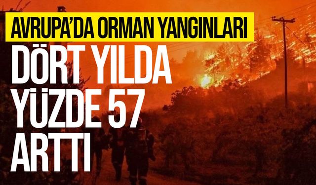 YAŞAM