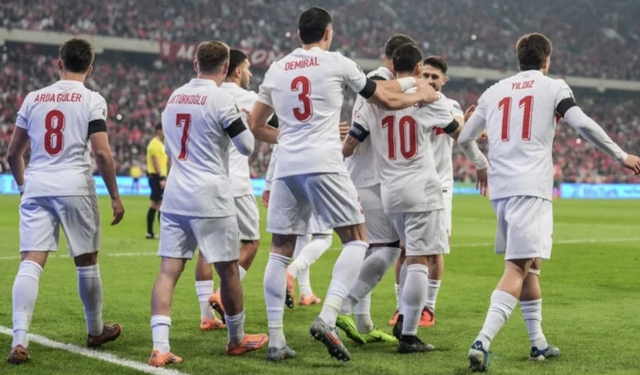 A Milli Takım'ın Belçika ve Fransa maçlarının oynanacağı statlar belli oldu