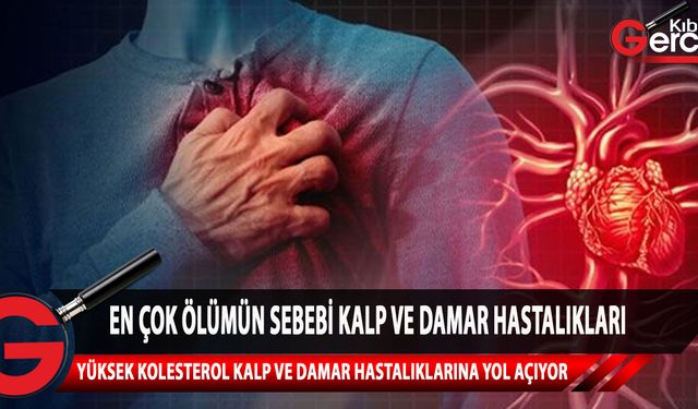 Yıldız, dünyadaki ölüm nedenlerinin en başında kalp ve damar hastalıkları geldiğini ifade etti