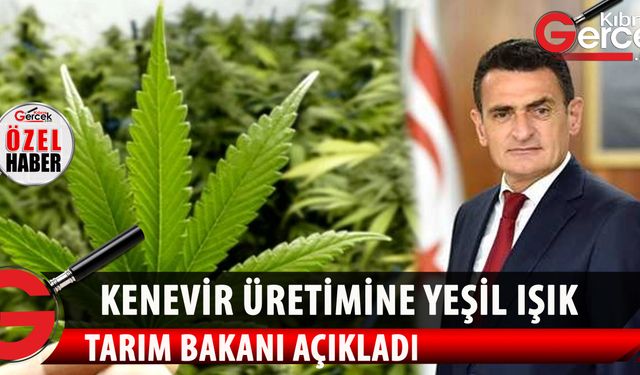 Esrar üretimine yeşil ışık