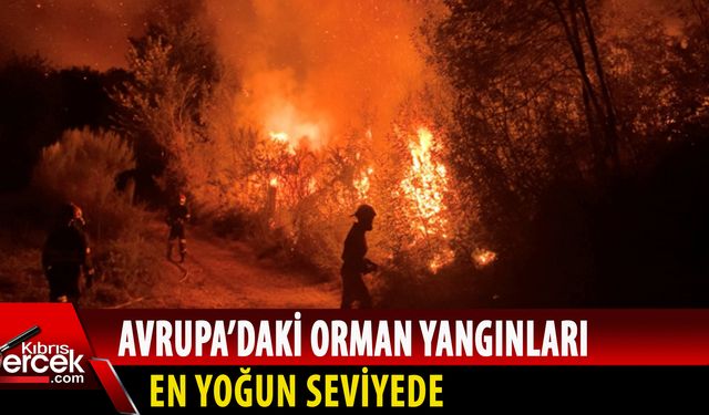 Birçok bölge "çok yüksek yangın tehlikesi" altında bulunuyor