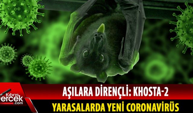 Başka bir pandemi mi geliyor?