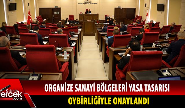 "Yasa 2011’den beri tartışılan bir yasa"