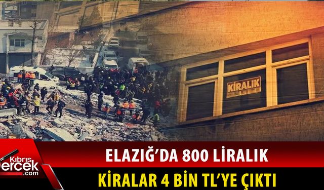 Hırsızı, yağmacısı, şimdi de kira fırsatçısı!