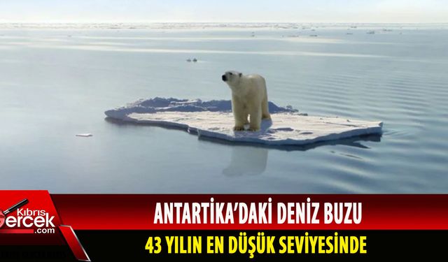 Antartika'da korkutan sıcaklık