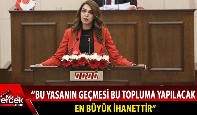 CTP Milletvekili Fide Kürşat açıklamalarda bulundu