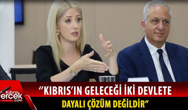 DİSİ Başkanı Dimitriu: Barışa inanıyoruz ve buna yönelik yatırım yapmamız gerekiyor