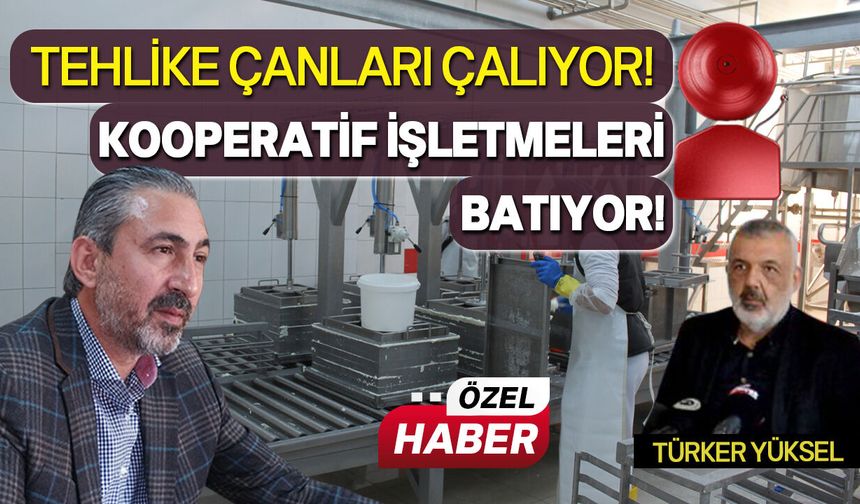 Sendika nerede?