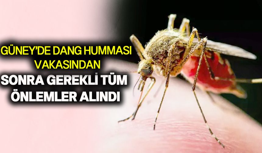 hastaların sağlık durumu iyi, taburcu olmaları bekleniyor