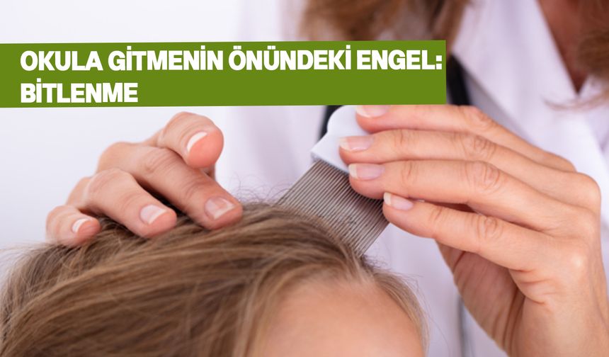 Saç bitleri, çocuklar arasında yaygın bir sorun