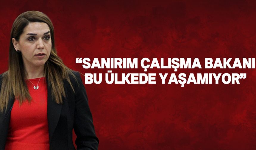 CTP Milletvekili Kürşat, Bakan Gardiyanoğlu'nun asgari ücret açıklamalarını eleştirdi