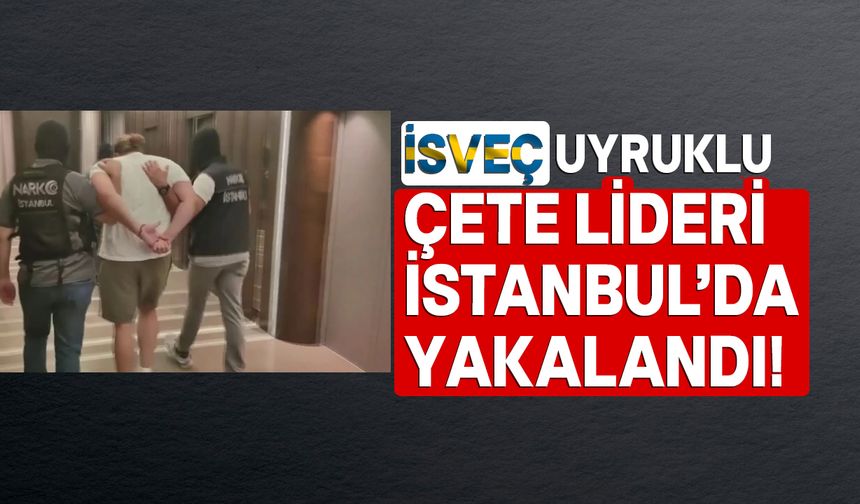 İsveç merkezli uyuşturucu çetesi lideri İstanbul'da yakalandı