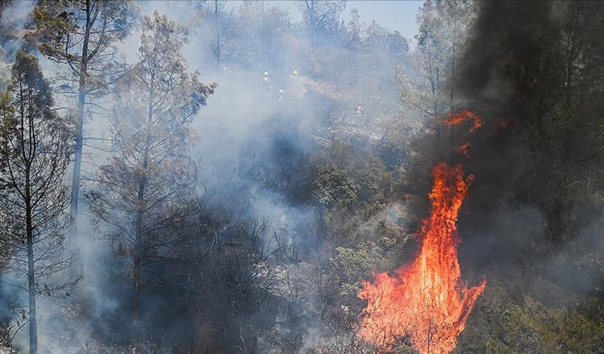 ABD'nin California eyaletindeki orman yangınları nedeniyle tahliye çalışmaları başladı