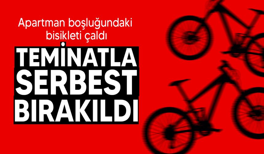 Bisiklet çalan 17 yaşındaki zanlı mahkemeye çıkarıldı